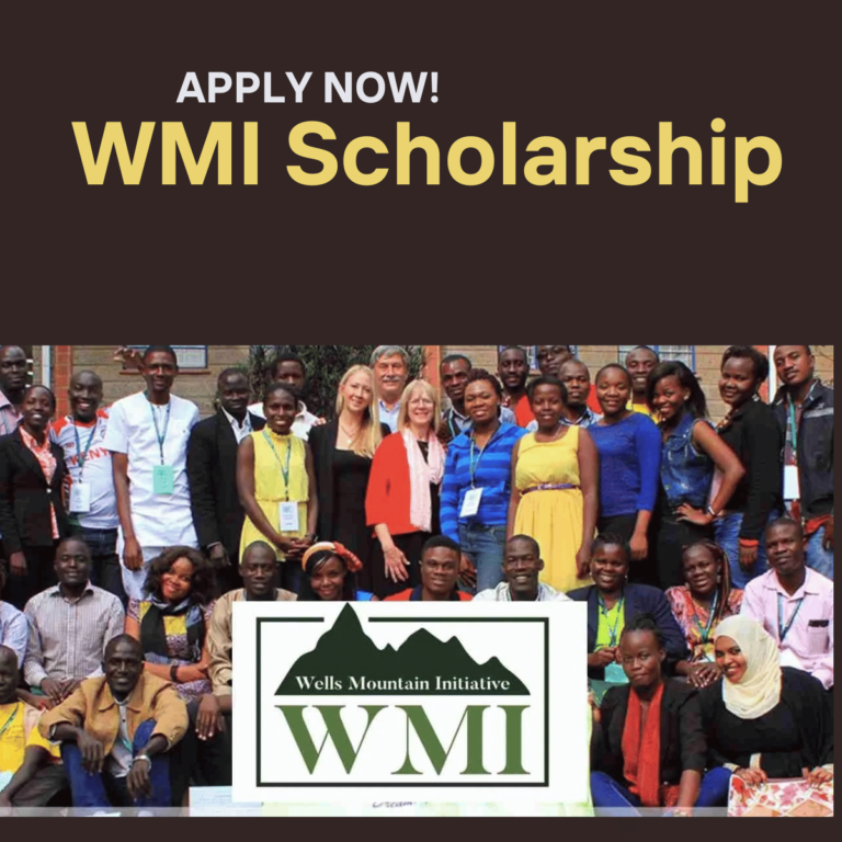 WMI Scholarship