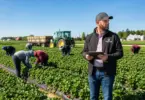 Farm Supervisor Job in Canada