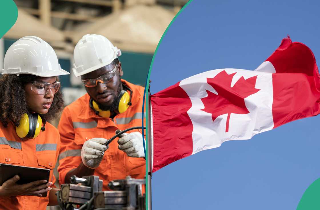 How to Get a Job in Canada From Your Home Country and Start Working Legally